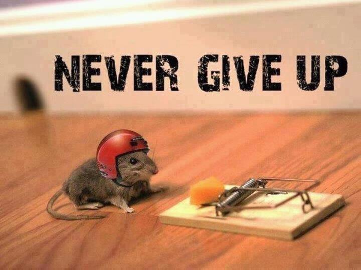 Never give up.